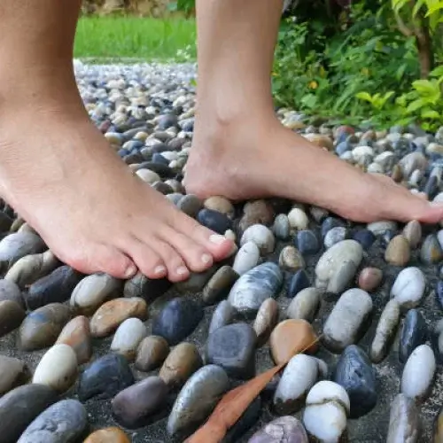 NeoLiv Grand Forest Reflexology Track